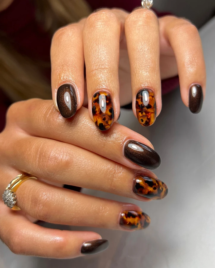 Tortoiseshell Brown