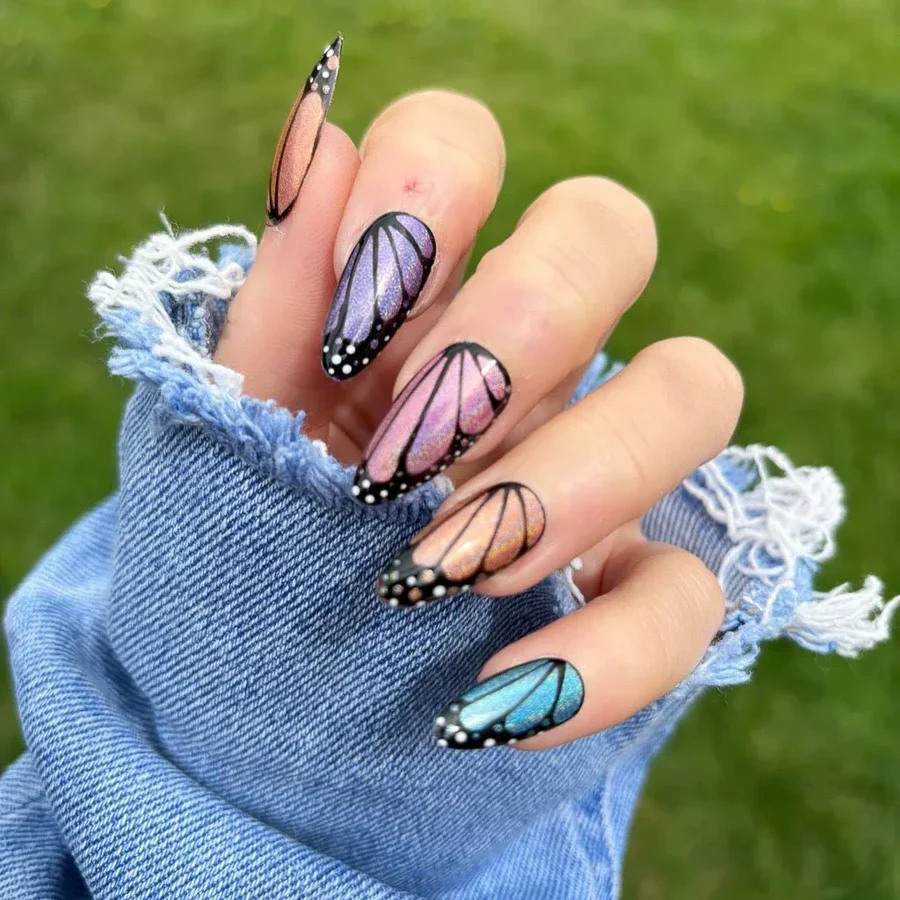 Butterfly Wing Art