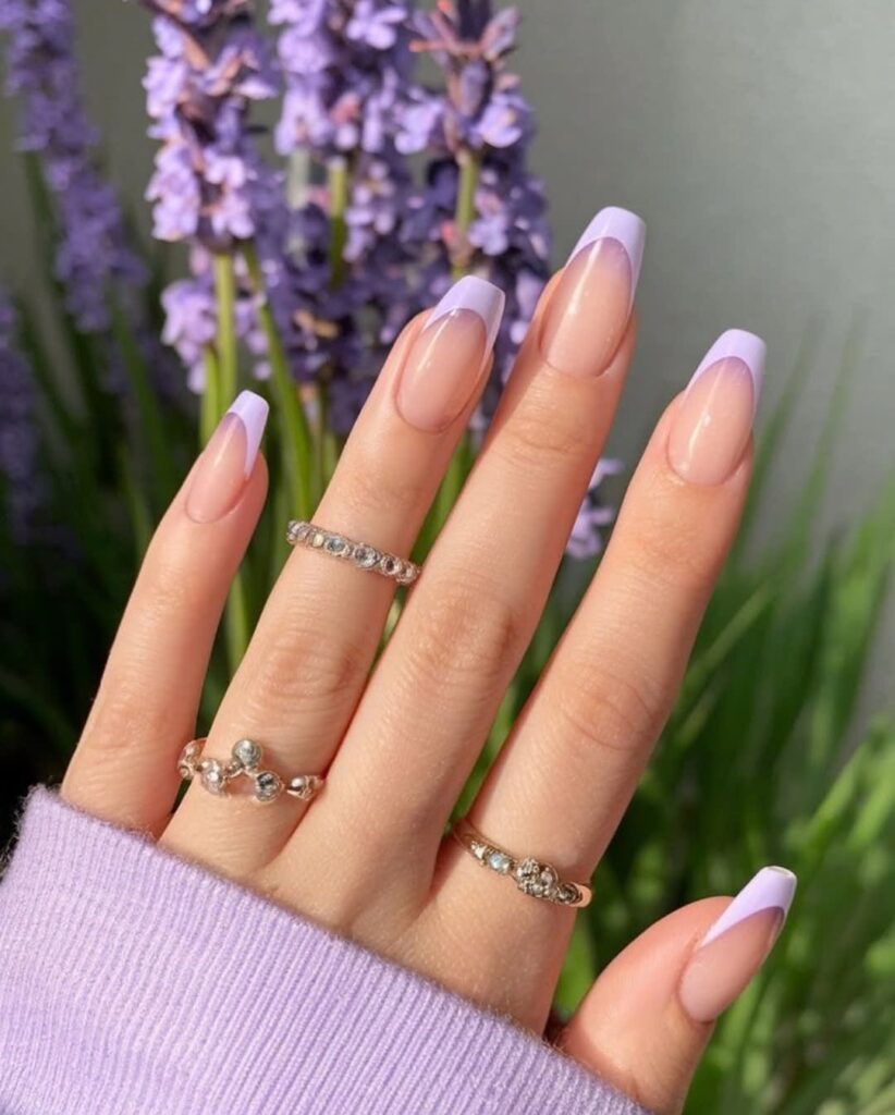 Pastel Lavender Dream