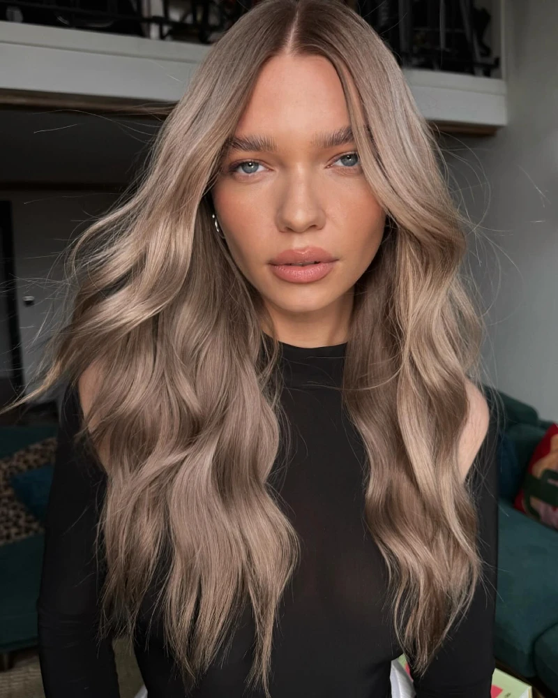 Mushroom Brown