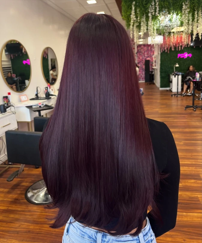 Burgundy Plum Balayage